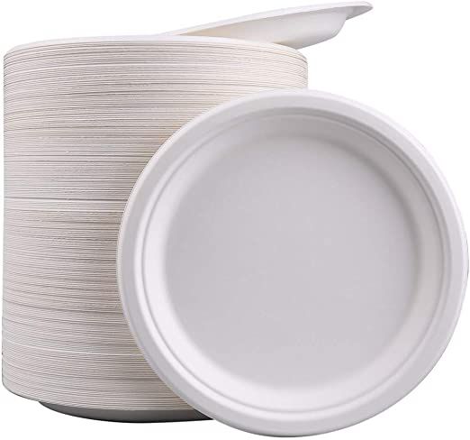 10 inch Compostable Dinner Plate